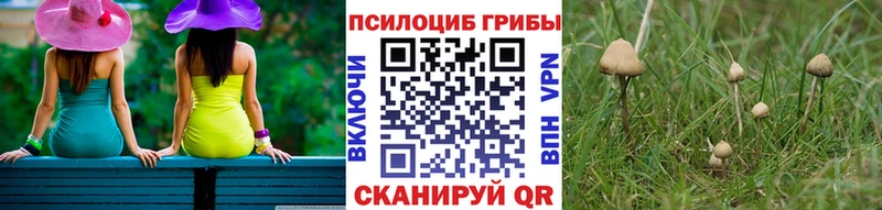 Псилоцибиновые грибы ЛСД  Спас-Деменск 